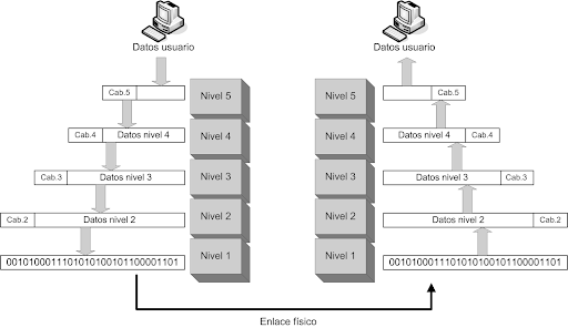 network levels